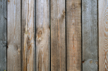 Naturally aged wooden fence, not painted. Gray-ocher color