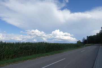 Donau-Ries in Bayern/Deutschland Landschaft