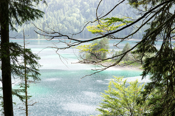 View through the trees to the Eibsee, mountain lake in the Bavarian Alps, Germany