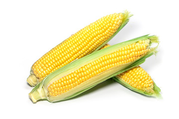 Fresh corn ears with leaves set isolated on white background