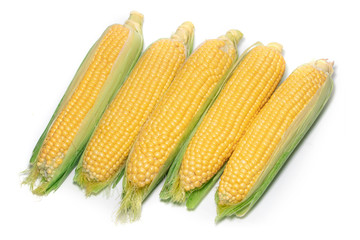Fresh corn ears with leaves set isolated on white background