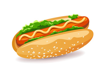 Hotdog American fast food with Lettuce and sausage design. isolated on white background Eps 10 vector illustration