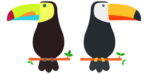 Zwei exotische Tukan Vögel auf Ast (Riesentukan und Swainson)