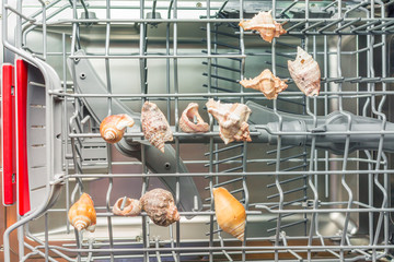 Yellow seashell lying in the basket of the dishwasher