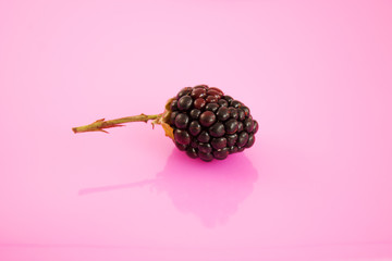 blackberry isolated on white background