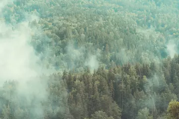 Foto op Aluminium White smoke in the wooded taiga mountains from burning fire. © Evgenii