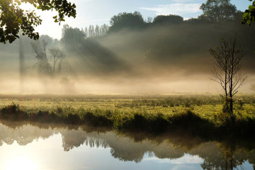 Fototapeta na wymiar Early morning mist over the meadows on the River Wey in Godalming, Surrey, on a cold autumn morning.
