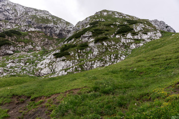 Meadow and mountains in the Bavarian Alps. Germany