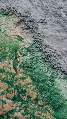 Abstract Green and Tan Natural Spring with Dark Gray Rocks