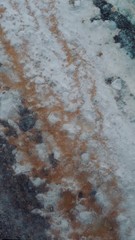 Abstract White and Orange Natual Spring with Dark Gray Rocks