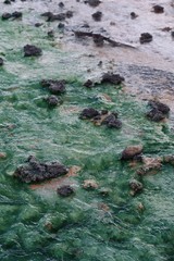 Abstract Green and White Rocky Natural Spring