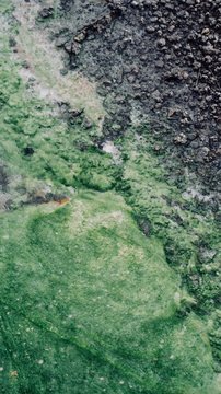 Abstract Green Natural Spring with a Dark Grey Rocky Edge