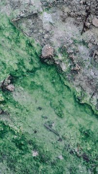 Abstract Green Natural Spring with a Dark Grey Rocky Edge