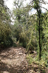 
landscape, aveyron region, village of france, estaing, nature