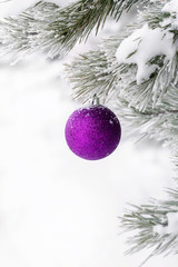 Christmas decorations on the pine branch