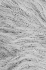 Gray fake fur textured material background