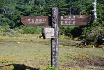 yakushima