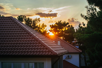 yellow-orange sunset among houses and trees