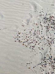 pebble stones on a sand beach waves wind