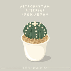 Cactus type collection : Cactus in white small pot isolated on beige background : Vector Illustration