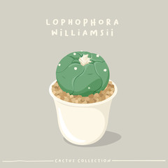 Cactus type collection : Cactus in white small pot isolated on beige background : Vector Illustration