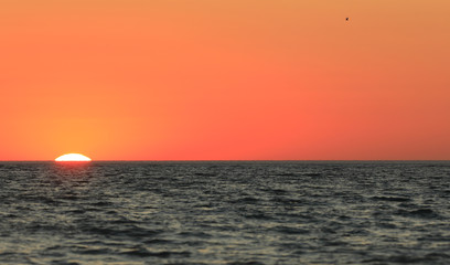 colorful sea sunset and orange sun