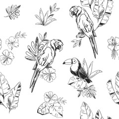 Sketch toucan bird and parrot with tropical leaves seamless pattern vector illustration