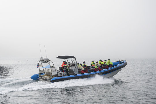 Tourists on speedboat during starting whale watching tour in foggy weather conditions