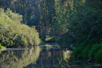 2020-08-17 A WOODEN BRIDGE HIDDEN IN THE FOLIAGE ALONG THE SAMMAMISH RIVER SLOUGH IN BOTHELL WASHINGTON
