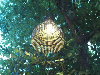 Woven bamboo light under the tree