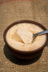 Curd or Dahi (Yogurt) in an Earthen Bowl with Spoon and Selective Focus, Also Known as Doi