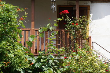 Fototapeta na wymiar House with white facade, wooden veranda, black metal lamp and red roses