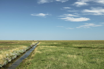 flache Landschaft mit einem kleinen Bach an der Nordsee auf Hallig Hooge