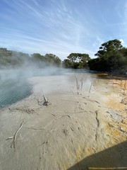 Source chaude du parc Kuirau à Rotorua, Nouvelle Zélande 