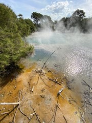 Source chaude du parc Kuirau à Rotorua, Nouvelle Zélande 