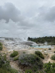 Geyser à Whakarewarewa, Nouvelle Zélande