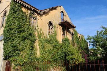 Casa abandonada coberta de folhas de hera.