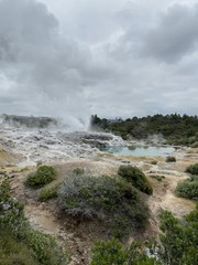 Geyser à Whakarewarewa, Nouvelle Zélande