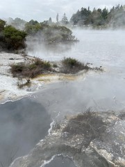 Source chaude à Whakarewarewa, Nouvelle Zélande