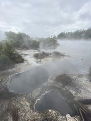 Source chaude à Whakarewarewa, Nouvelle Zélande