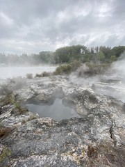 Source chaude à Whakarewarewa, Nouvelle Zélande