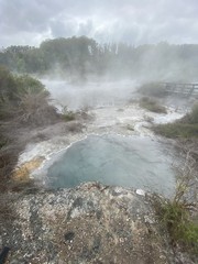 Source chaude à Whakarewarewa, Nouvelle Zélande