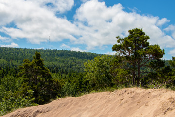 Naklejka premium Sand Dune Skyline 2