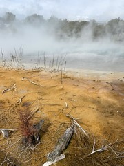 Source chaude du parc Kuirau à Rotorua, Nouvelle Zélande  