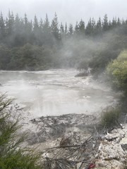 Source chaude à Rotorua, Nouvelle Zélande