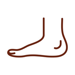 human body ankle foot anatomy organ health line icon style