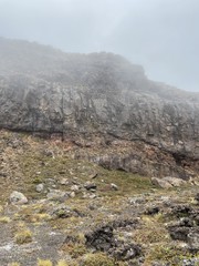 Lande dans la brume du parc Tongariro, Nouvelle Zélande	