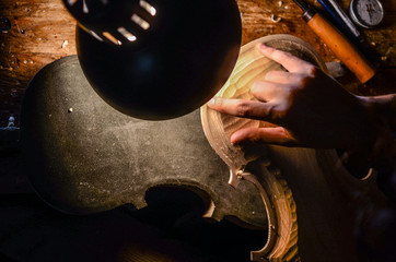 Artisan woman violin maker luthier working in a new violin