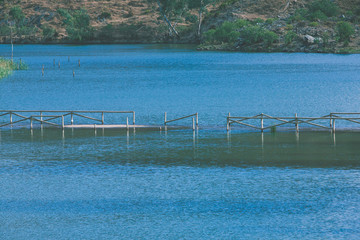 Old partially sunken wooden bridge over a tranquil lake surrounded by trees and shrubs
