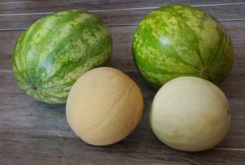Summer Melons